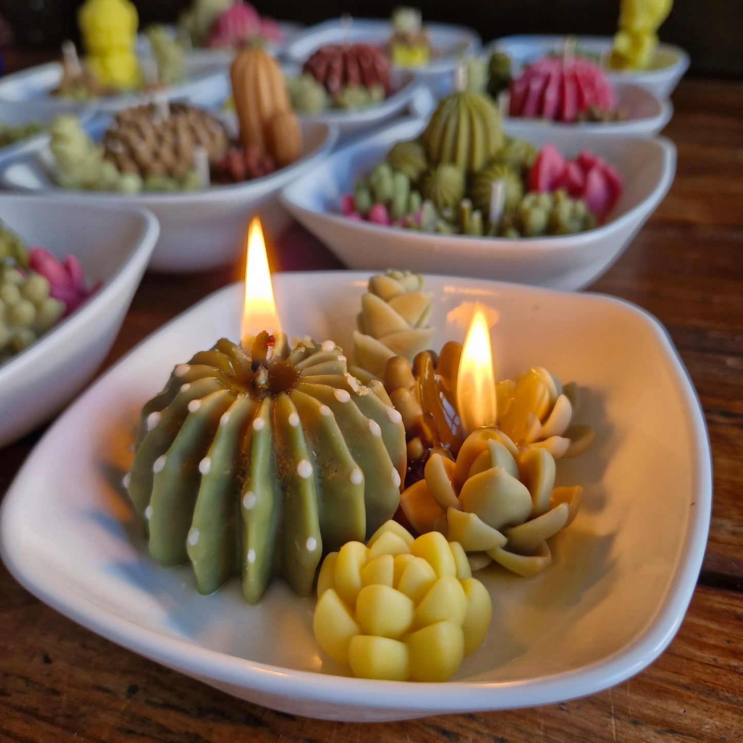 paquete de Velas Cactus & Suculentas