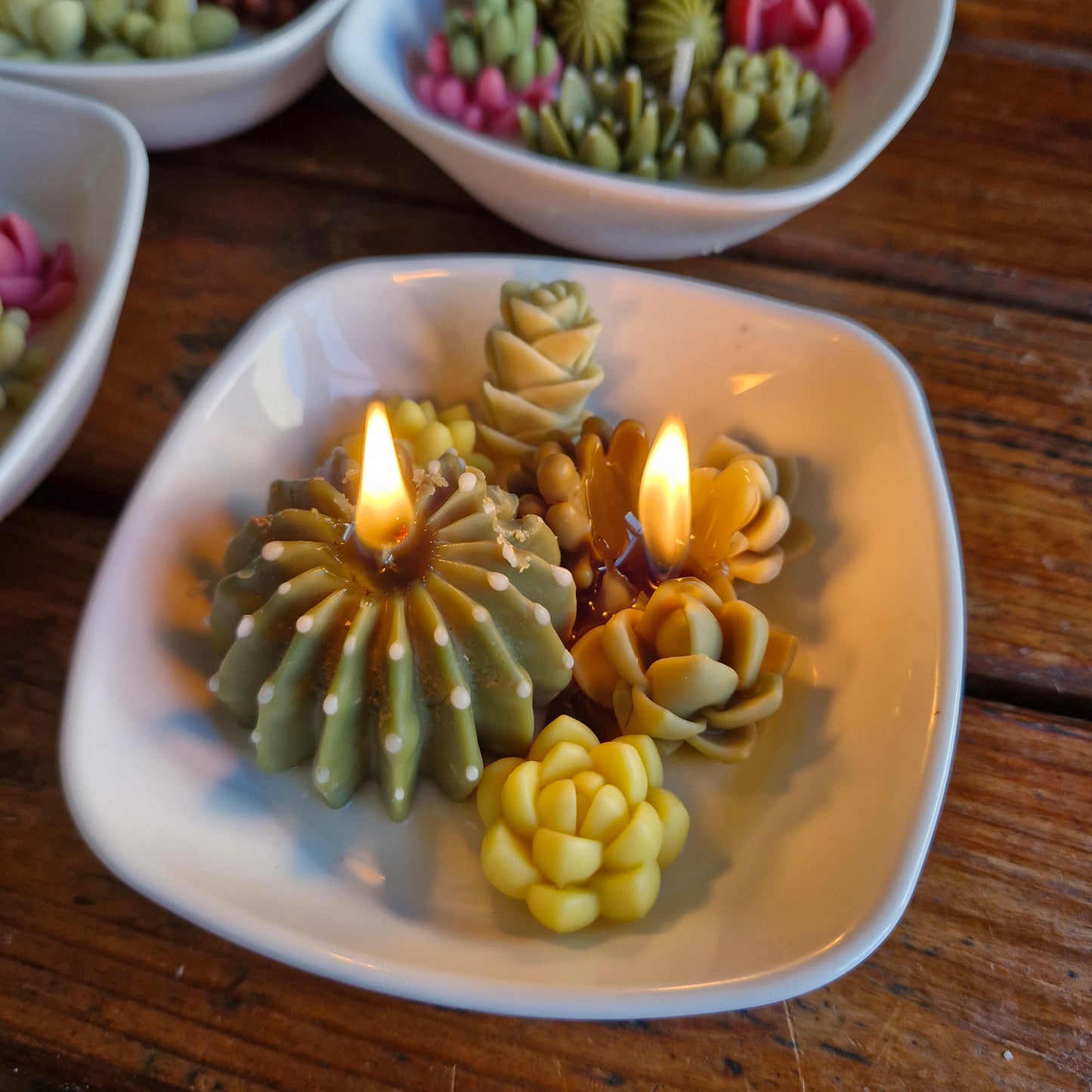 paquete de Velas Cactus & Suculentas