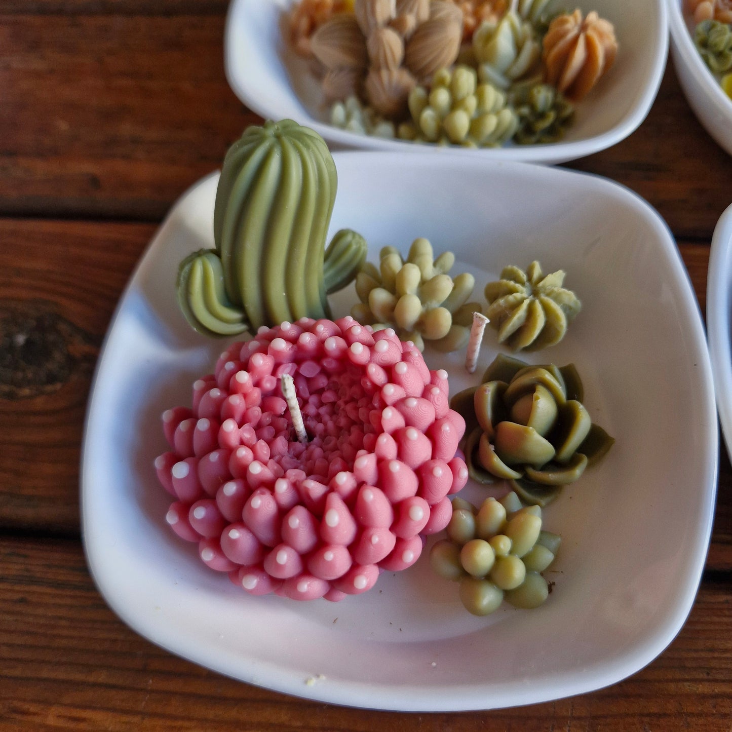 paquete de Velas Cactus & Suculentas