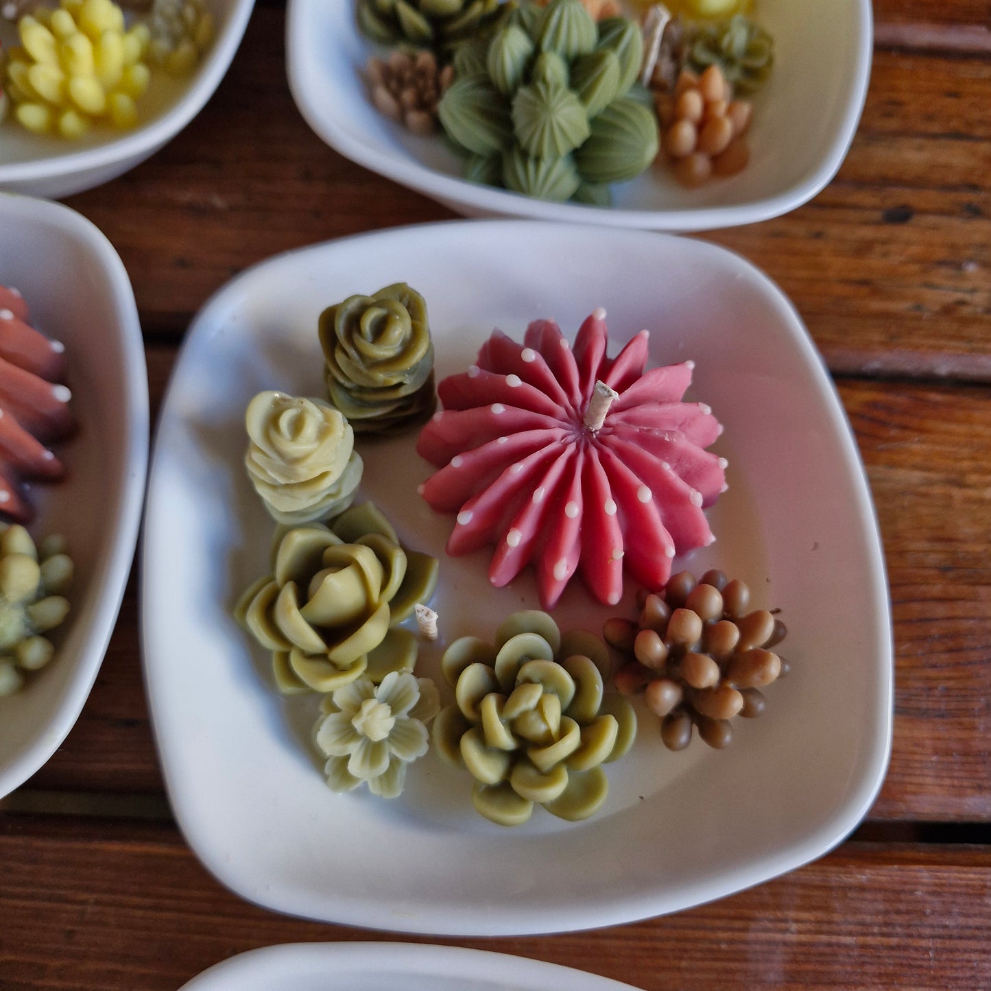 paquete de Velas Cactus & Suculentas