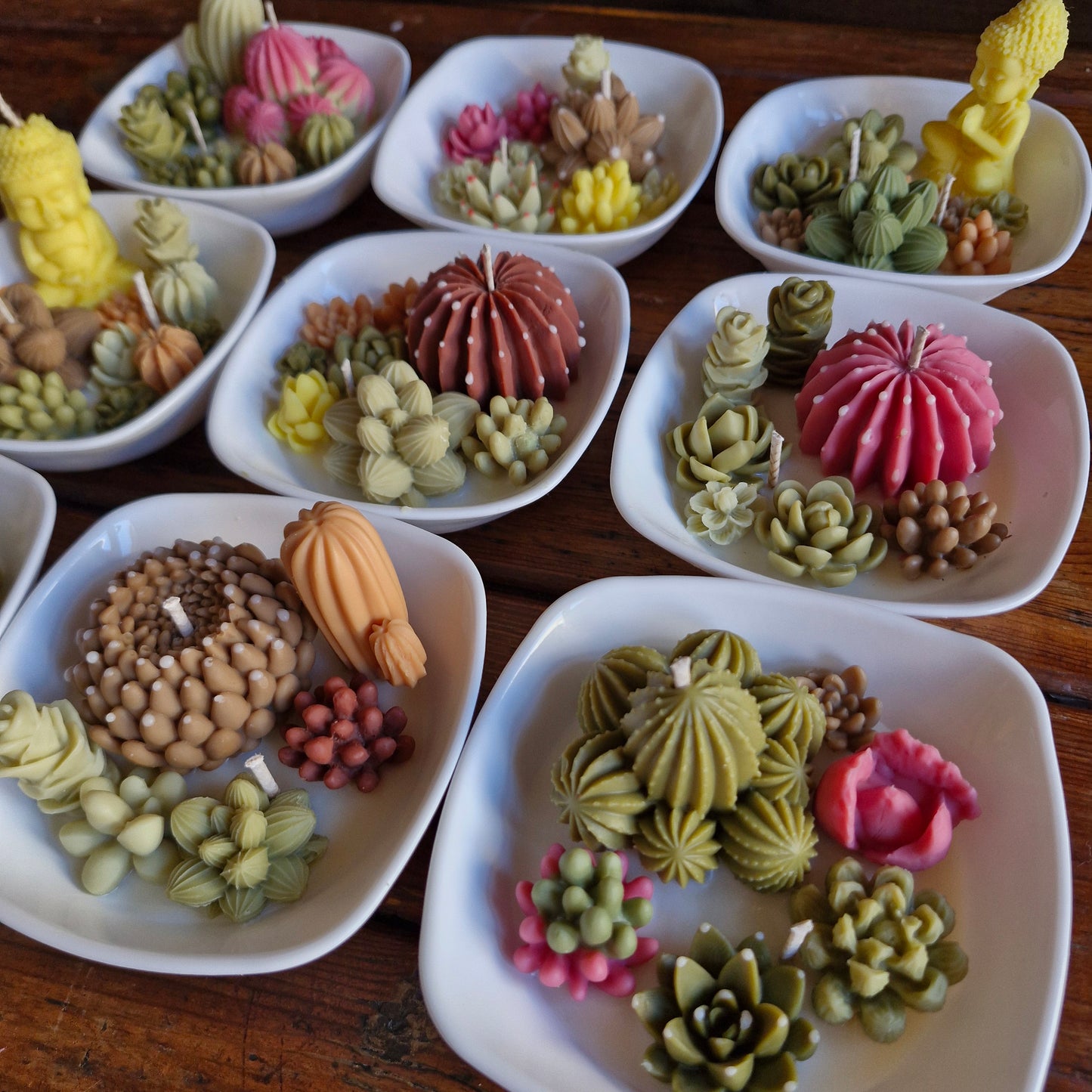 paquete de Velas Cactus & Suculentas