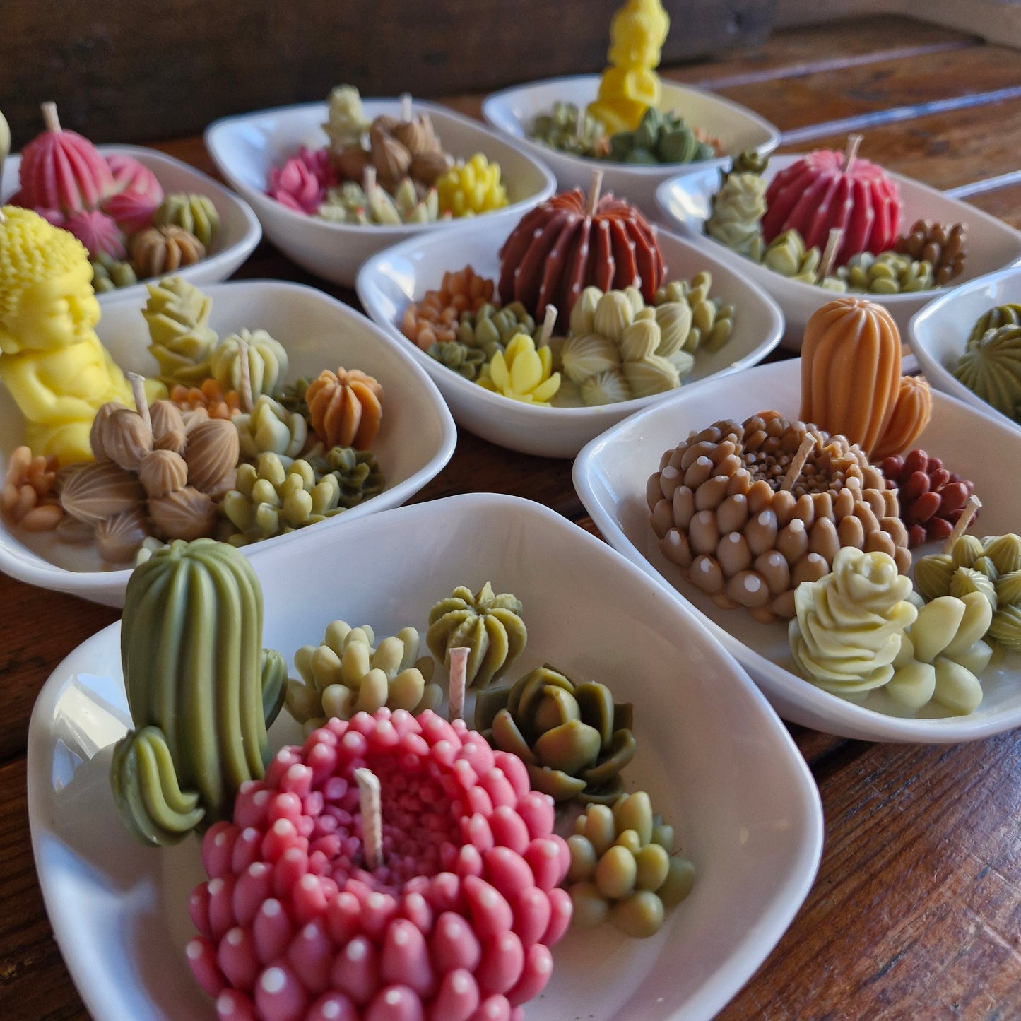 paquete de Velas Cactus & Suculentas