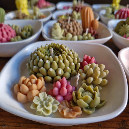 paquete de Velas Cactus & Suculentas