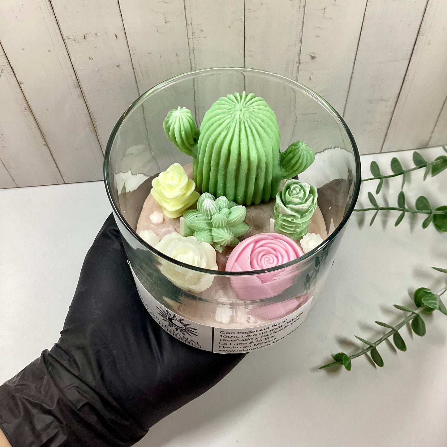 Vela aromática jardín de cactus