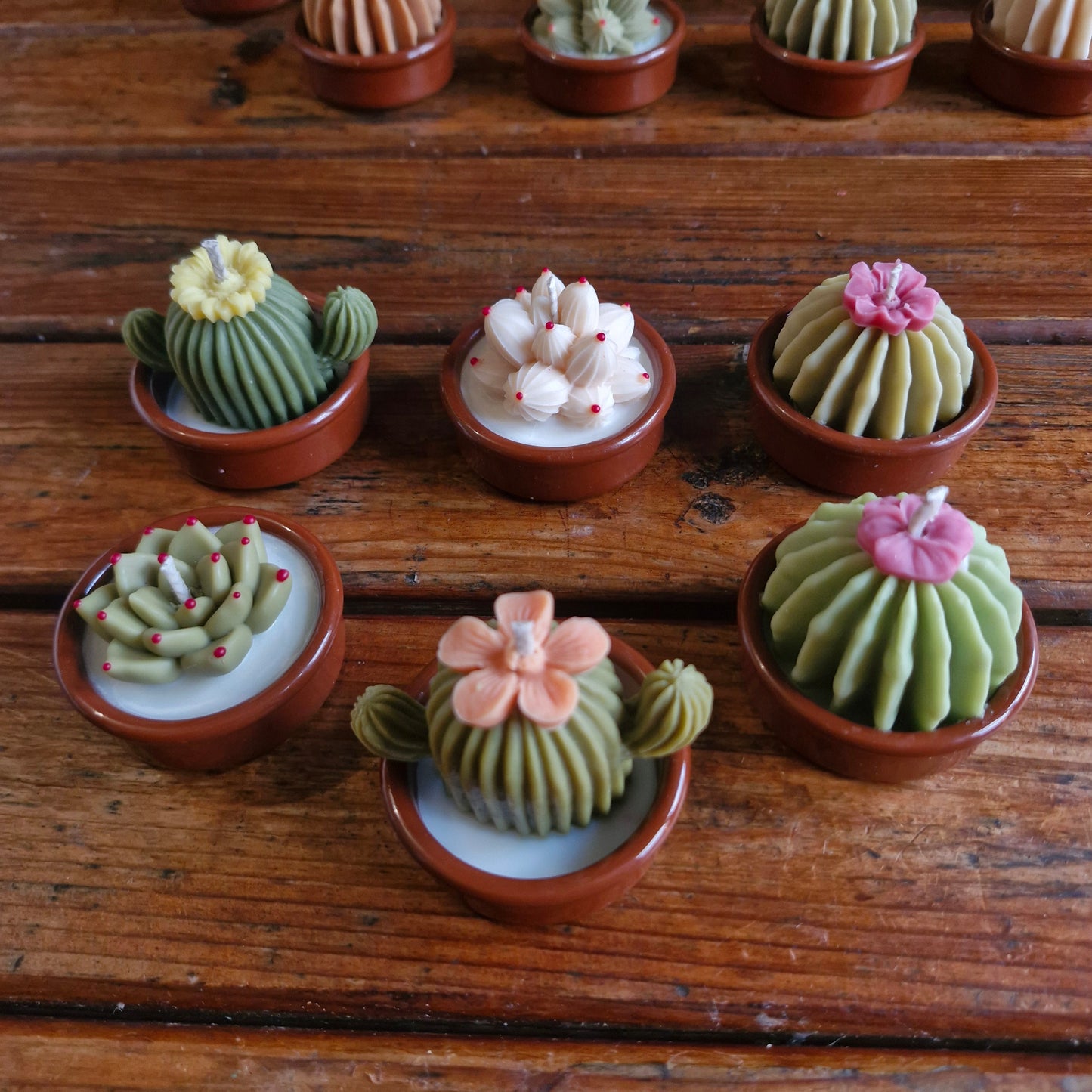 Caja con 6 velas mini "Terrario"