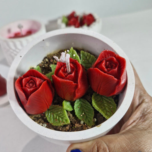 Pack 10 velas tulipanes rojos, aromática con caja individual y etiqueta personalizada