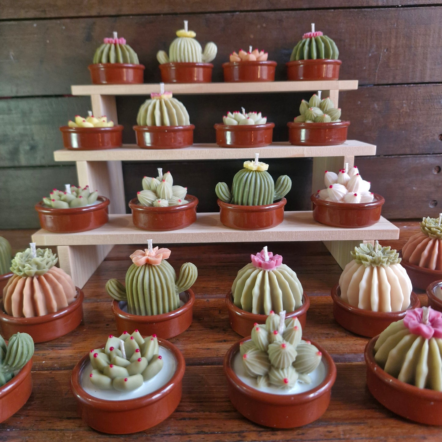 Caja con 6 velas mini "Terrario"