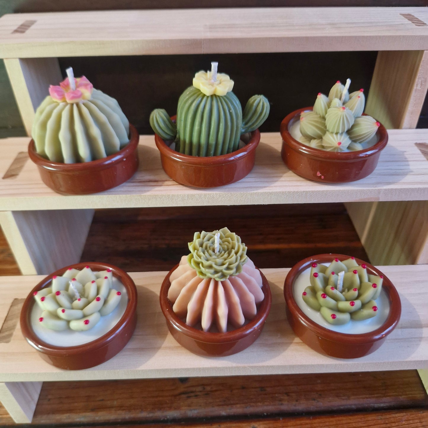 Caja con 6 velas mini "Terrario"