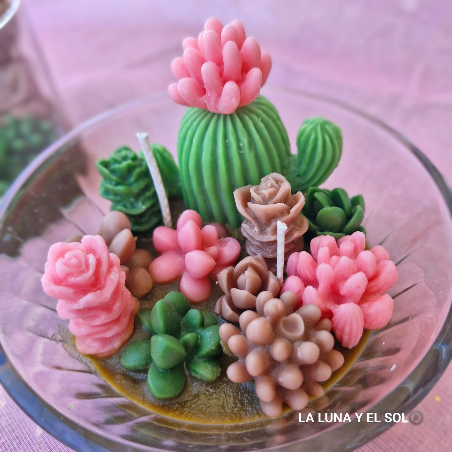 Vela aromática jardín de cactus