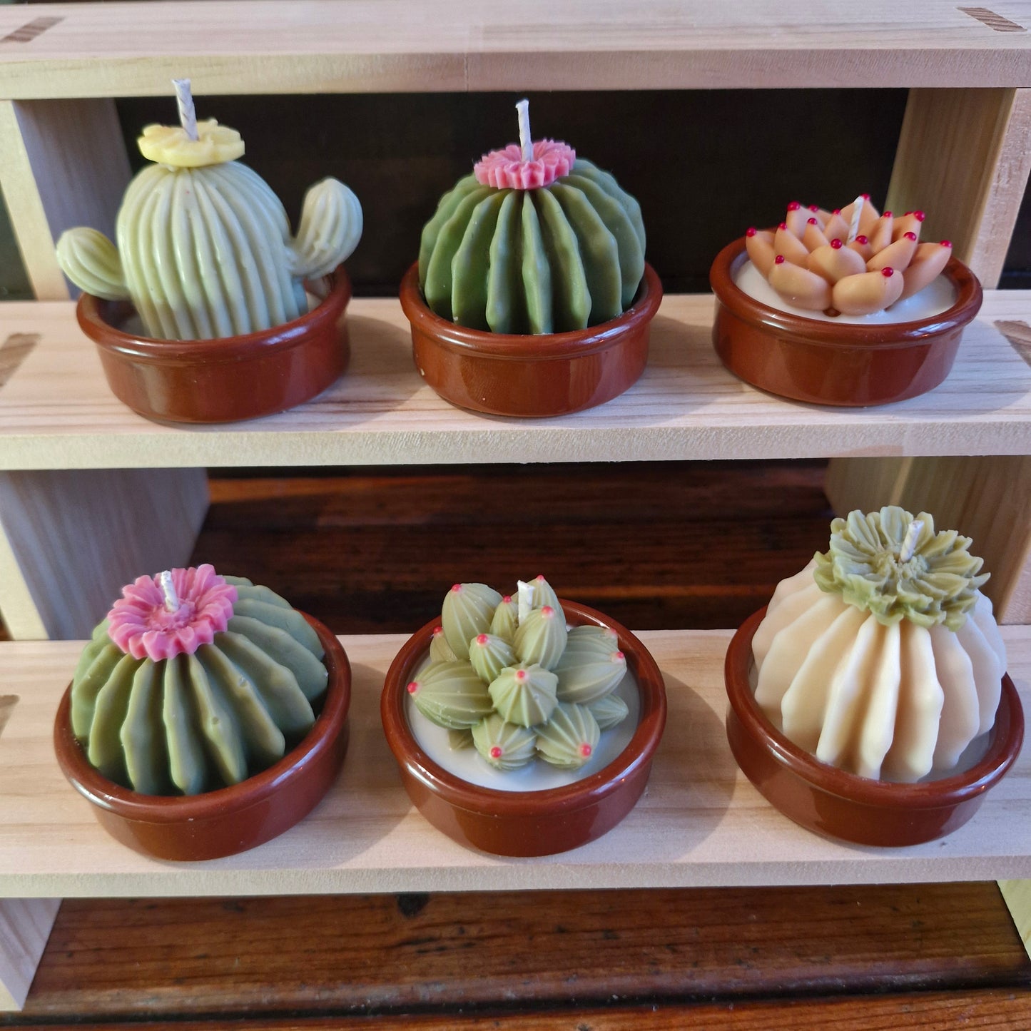 Caja con 6 velas mini "Terrario"