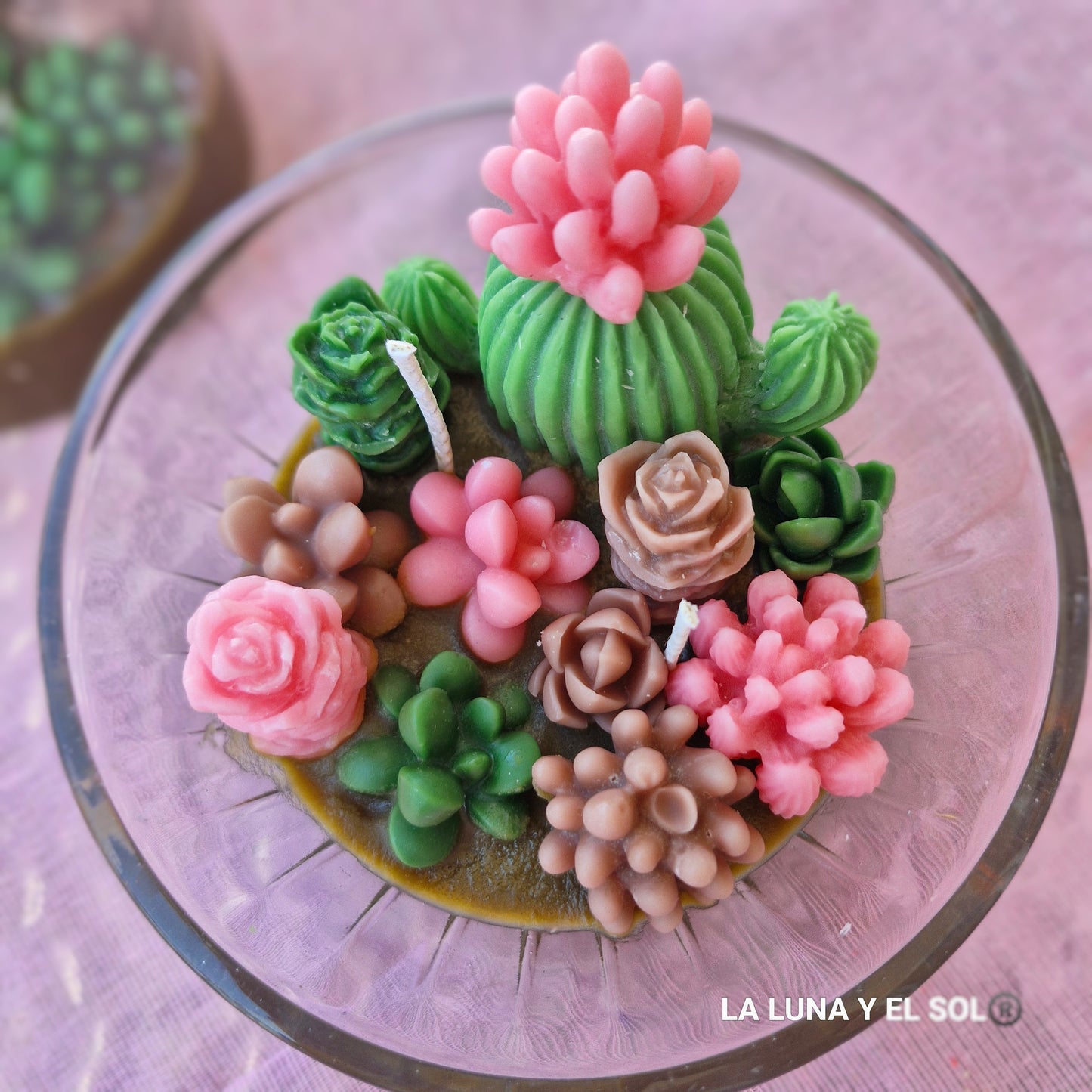 Vela aromática jardín de cactus