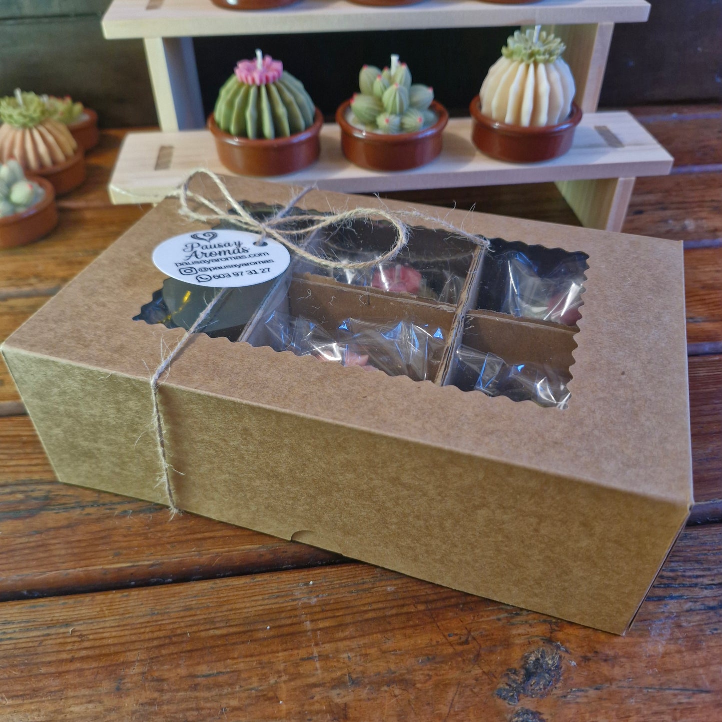Caja con 6 velas mini "Terrario"