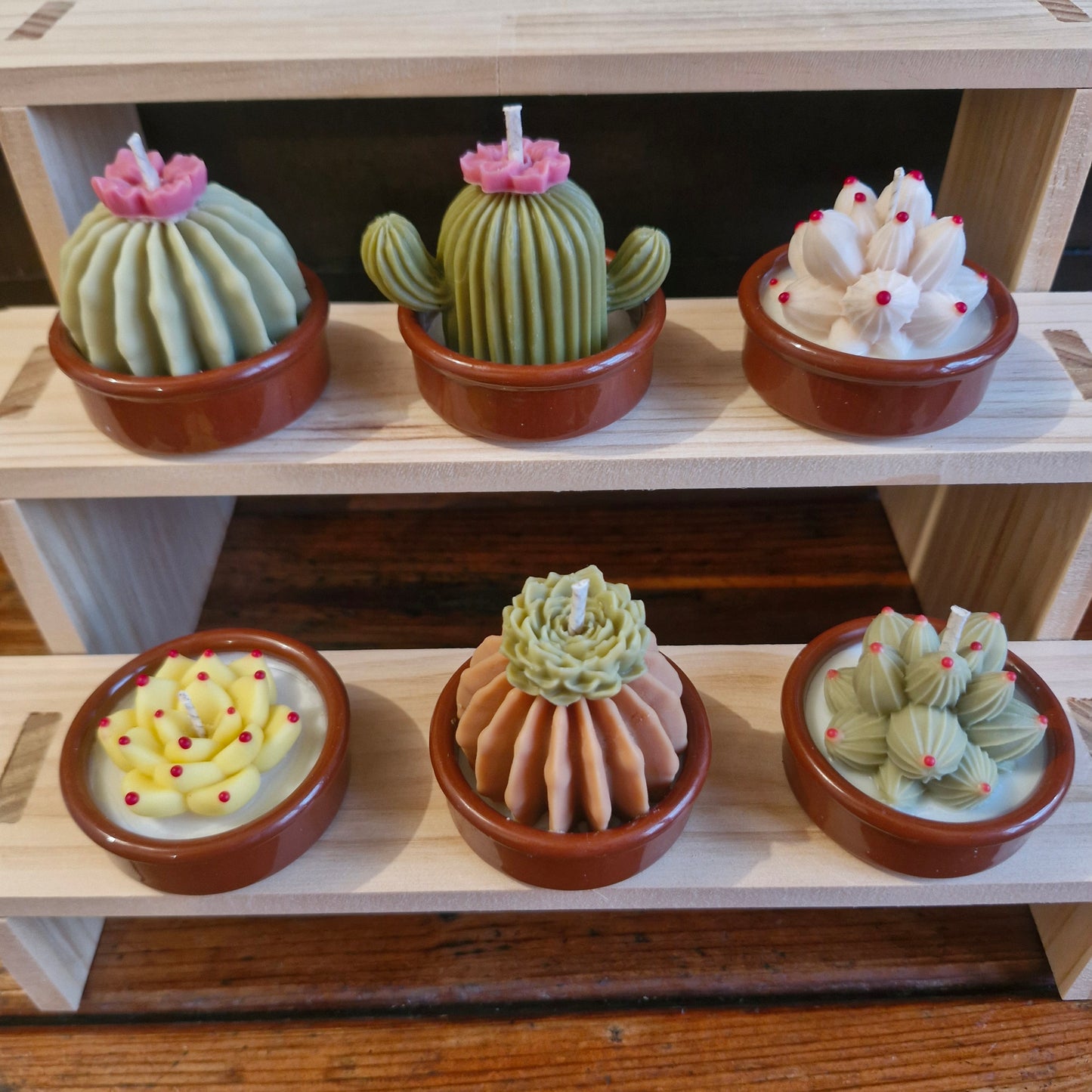 Caja con 6 velas mini "Terrario"