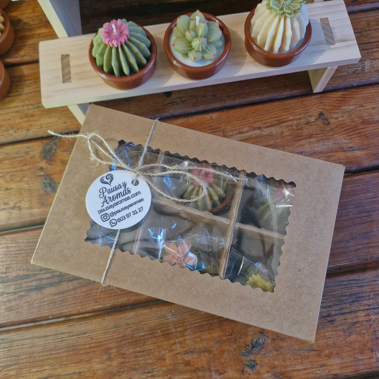 Caja con 6 velas mini "Terrario"